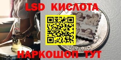 гашик Кандалакша