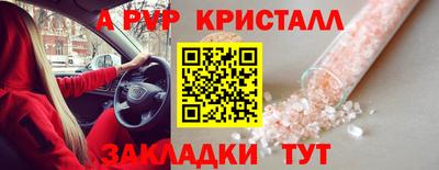 гашик Кандалакша